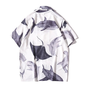 Requin Chemise - vanidadang
