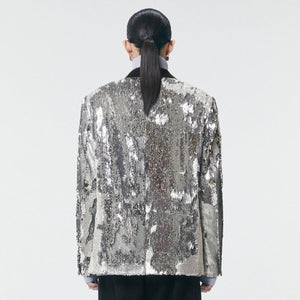 Sequins argent - vanidadang